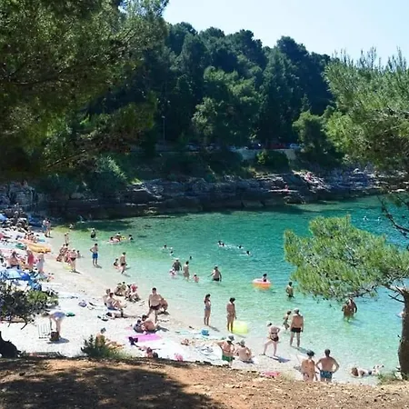 Marco,lukas,patrick,david,blizu Centra I Mora Sa Free Privatnim Parkingom Apartament Pula