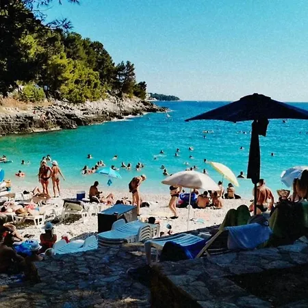 Marco Lukas Patrick: Quiet With Parking Near Center *